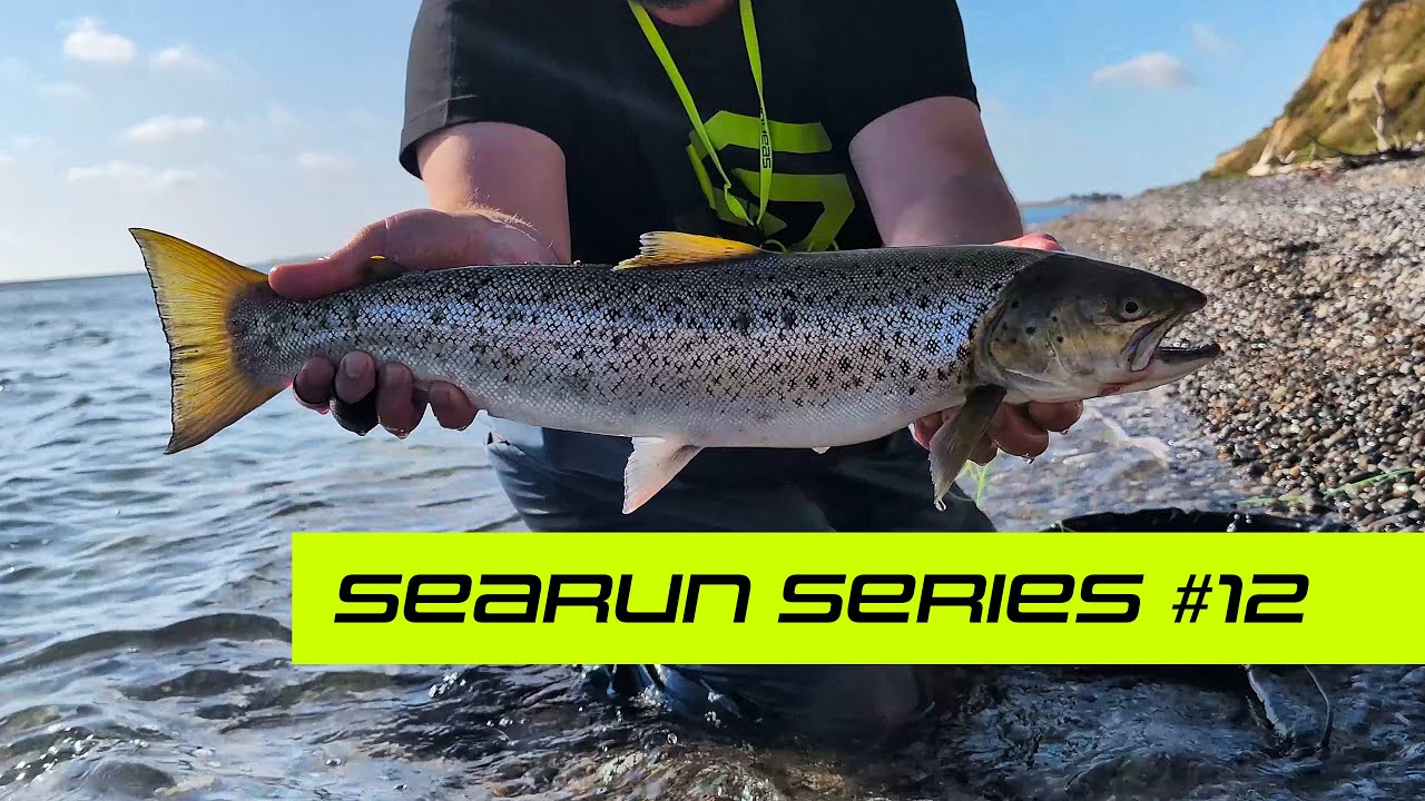 SEARUN Series - Episode 12 - 