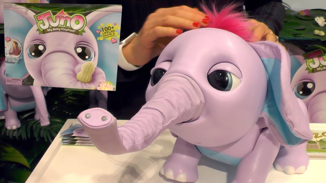Juno Baby Elephant