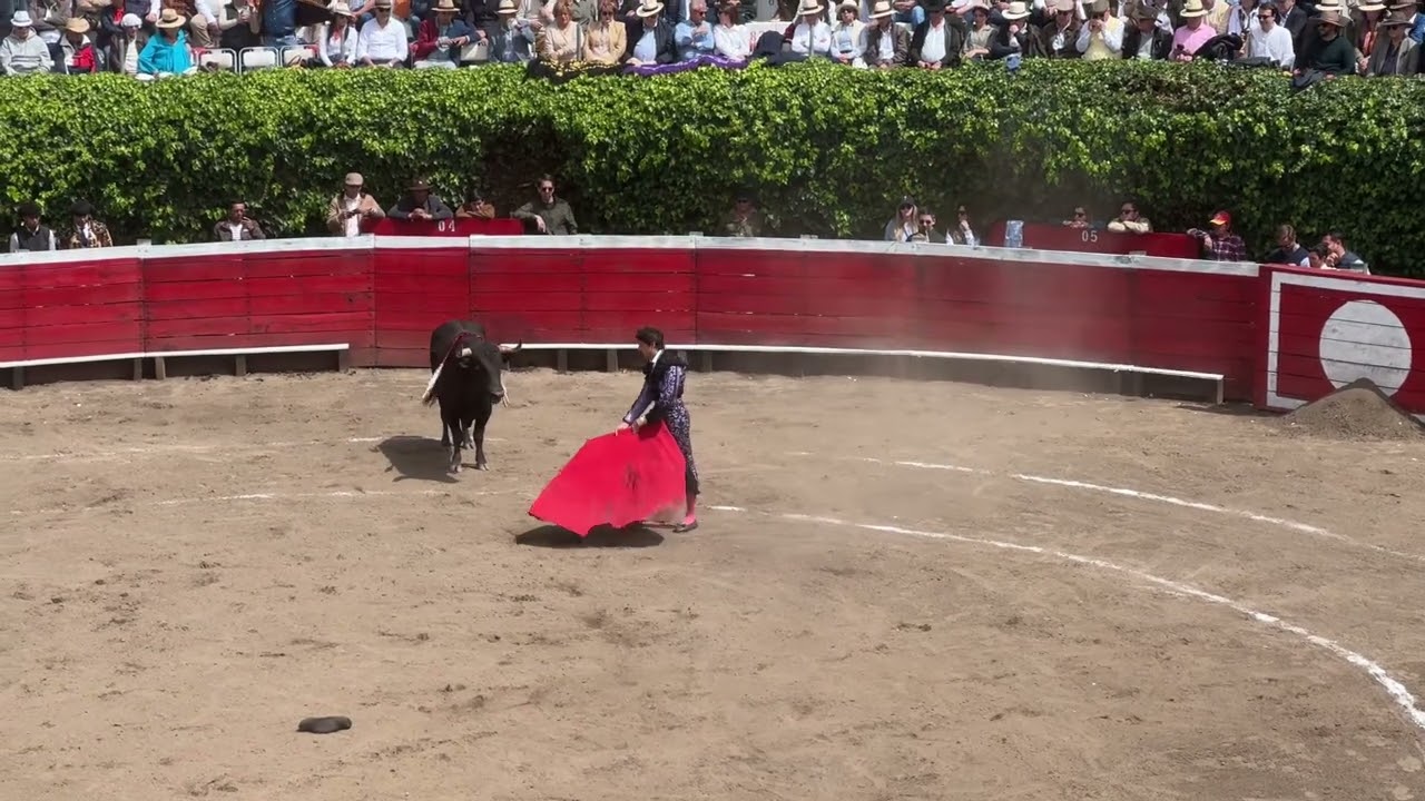 Espect&aacute;culo de Andr&eacute;s Roca Rey | Machachi 2025 🐂
