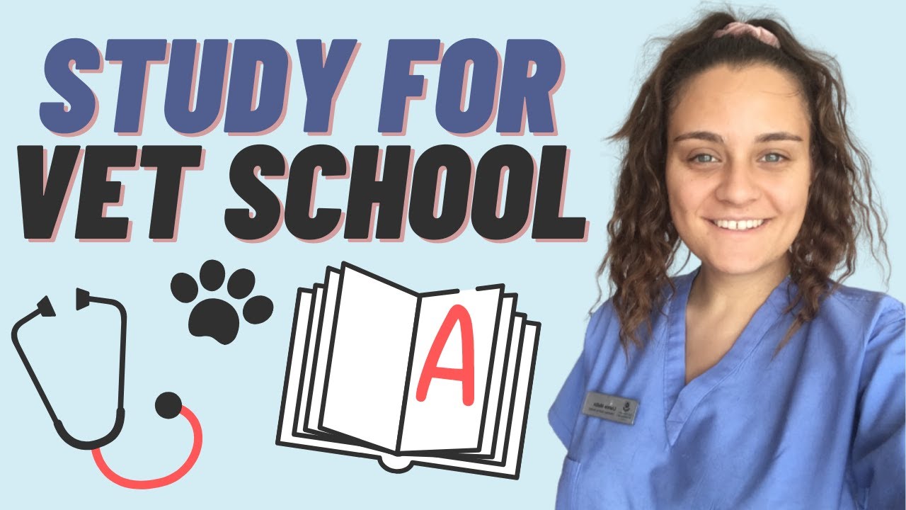 How to Study for Vet School | study tips