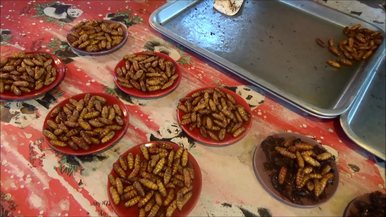 Amazing Fried Insects II Market Bangkok in Thailand