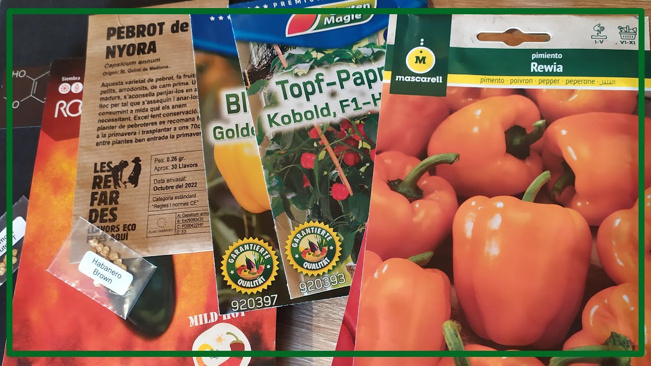 Mis variedades de chiles para 2025 🔥