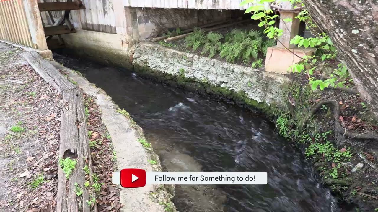 Check out De León Springs State Park in Florida