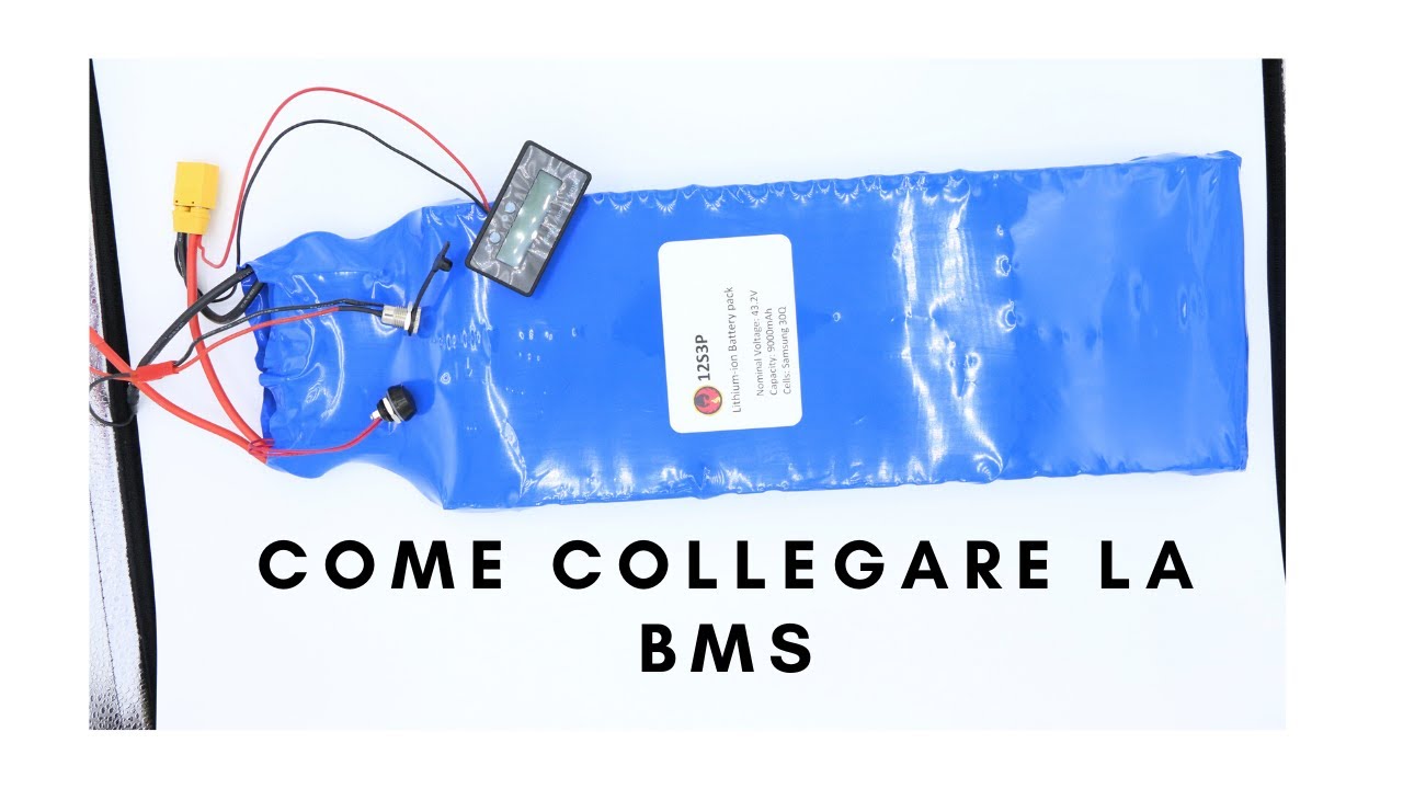 COME COLLEGARE LA BMS