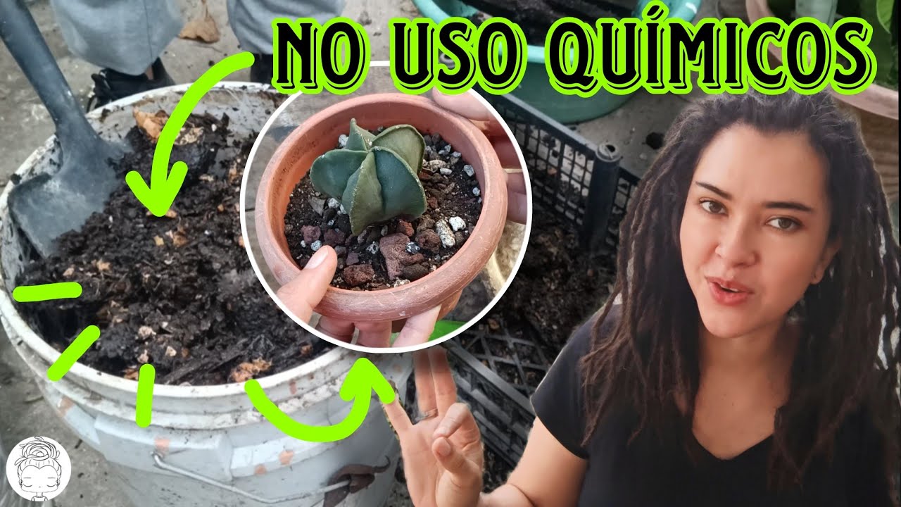 COSENCHANDO COMPOST/ MUY SATISFACTORIO 💚🌵🌿🌱