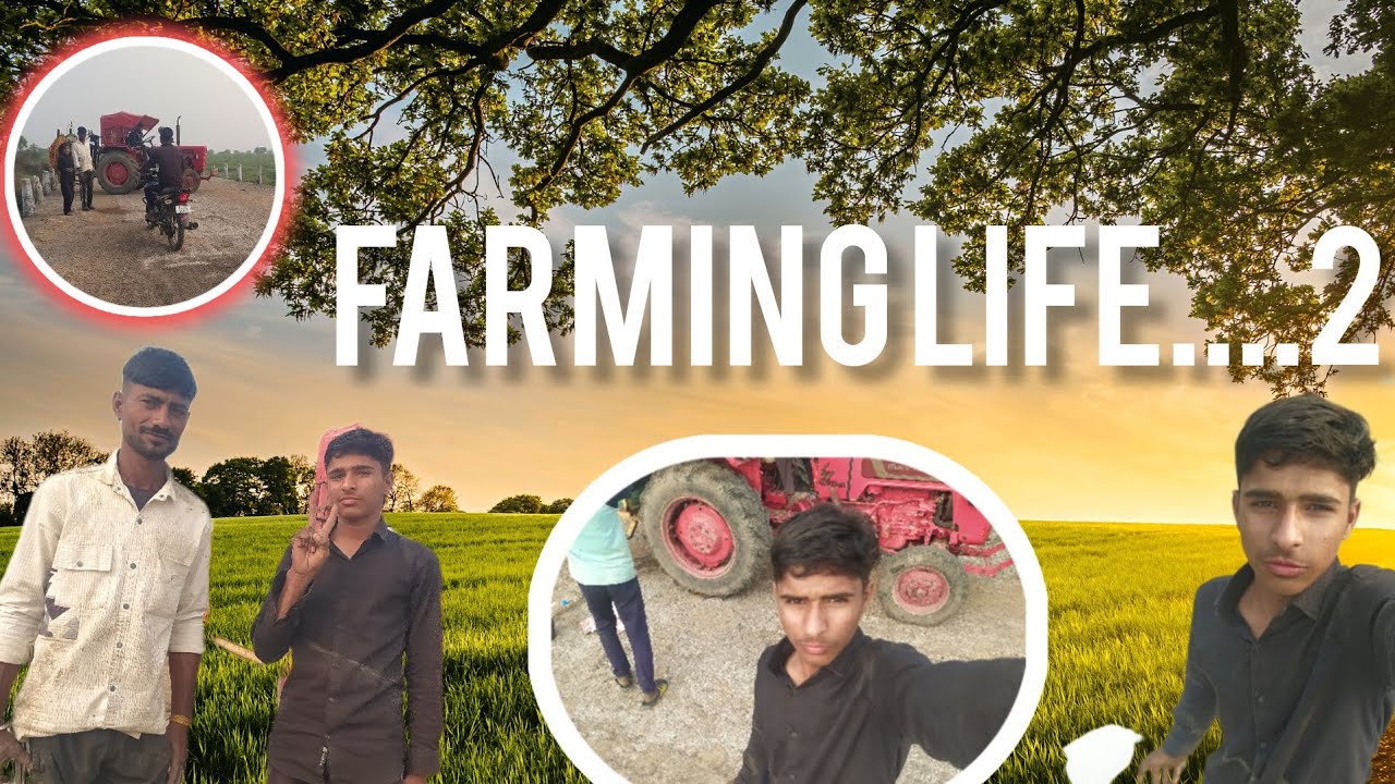 आज_खेत_पर_आ_गए 👍#आज दवाई छिडकाई🙏#Farming_Life..2#Farming_real_life#Ytvedioanimation#vlog2#आओखेतीकरे