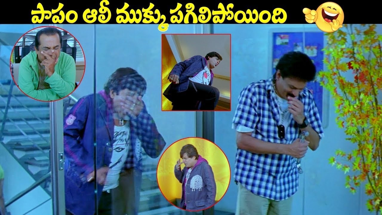 పాపం ఆలీ ముక్కు పగిలిపోయింది | Ali Hillarious Comedy Scenes | #namovenkatesha || @iDreamBuzz