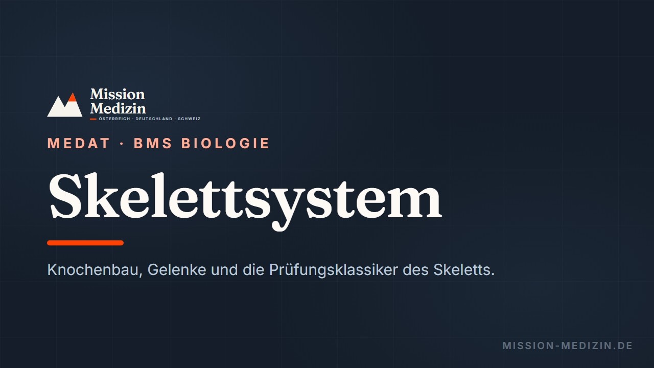 MedAT 2026 🦴 Lehrvideo zum Stichwort Skelettsystem des BMS-Teils Biologie 🦴