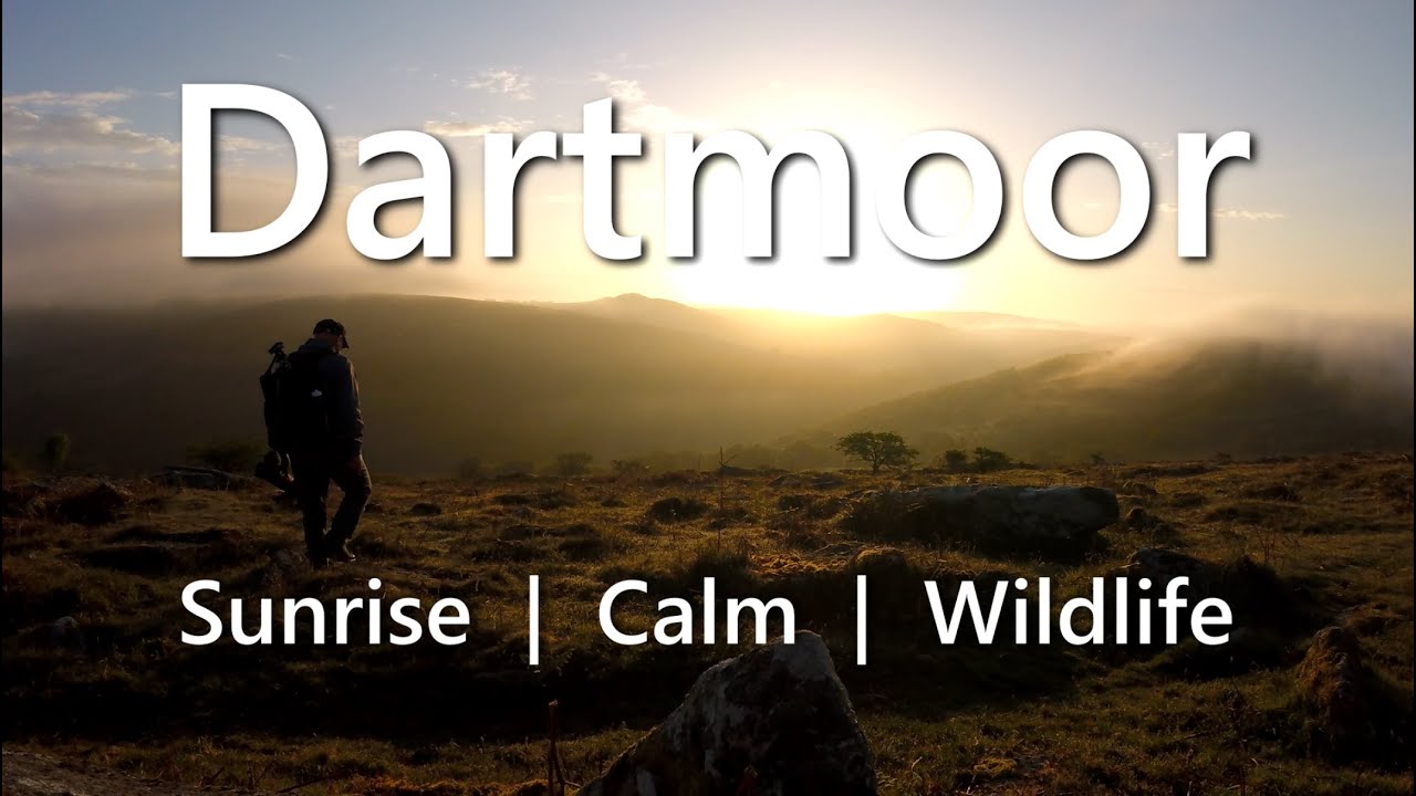 Dartmoor Sunrise, calm and Wildlife