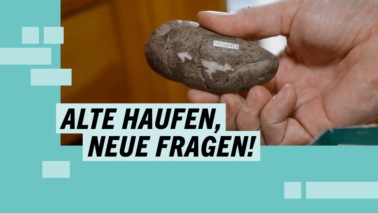 Von der Schublade in die Welt: Was wir aus altem Tierkot lernen können – Museums-Evolution
