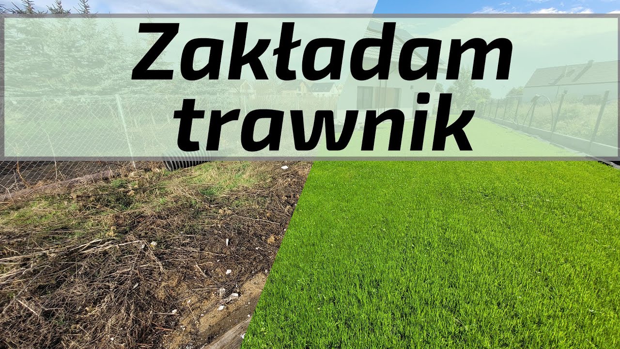 Zakładam trawnik - pierwsze prace w ogrodzie. Niwelacja terenu, trawa na ziemi gliniastej?!
