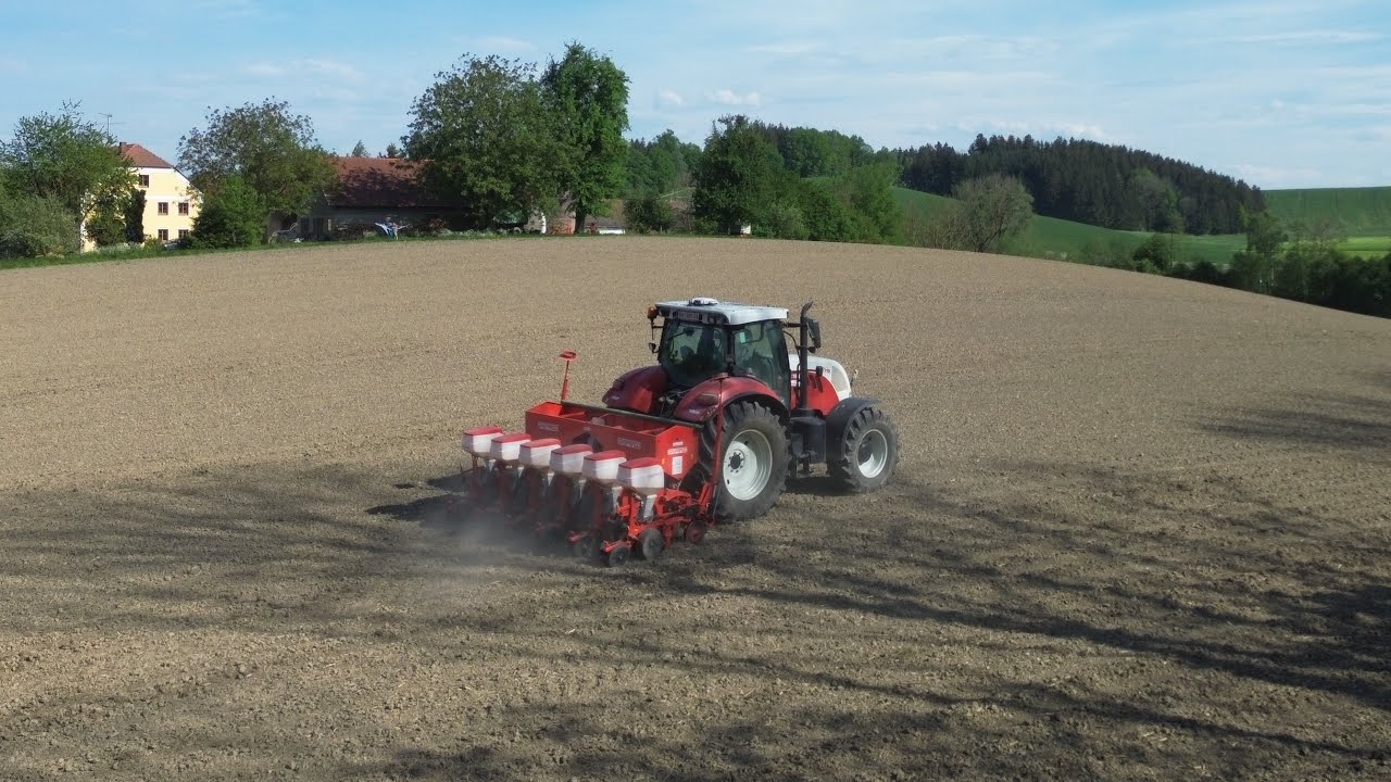 Steyr CVT 6160 & Gaspardo - Maisanbau 2024