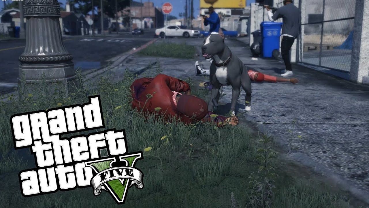 Day In The Life Of A Pitbull In The Hood (GTA 5 PC MODS)