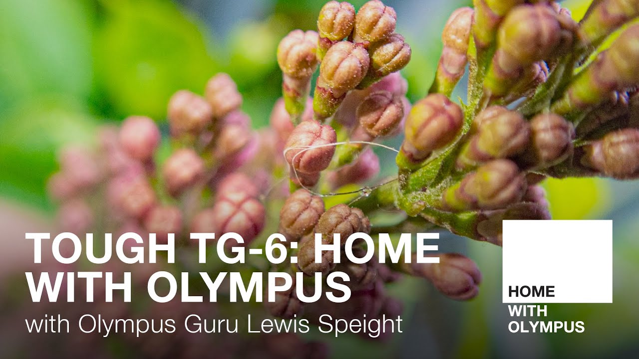 Tough TG-6 at Home with Olympus Guru Lewis Speight