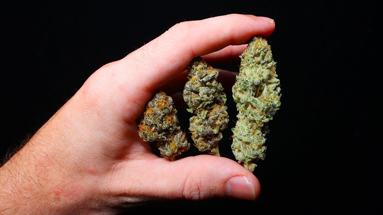 Trying Organic Homegrown Weed