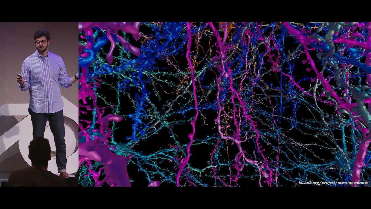 Смешивание мозгов: истории нейроотдела — Конференция Blender 2025