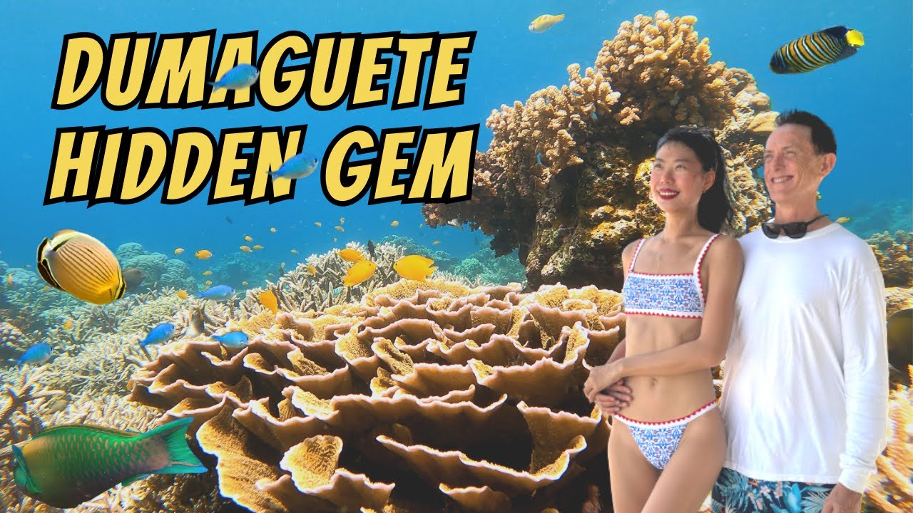 DUMAGUETE HIDDEN GEM UNDERWATER PARADISE IN THE PHILIPPINES