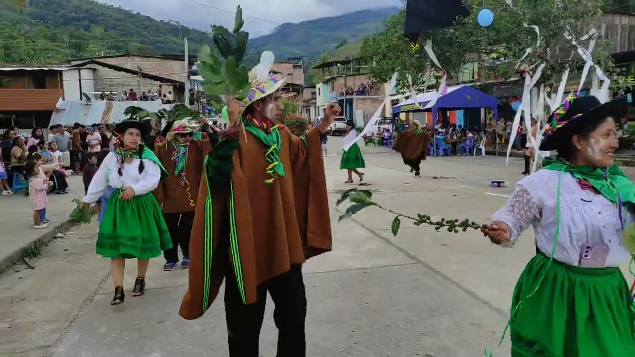 COMPARSA 2026 TRIBOLINE ALTA HD