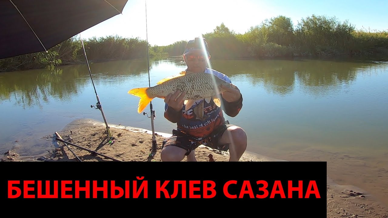 РЫБАЛКА на ДИКИХ САЗАНОВ на низовьях КАРАТАЛА!Рыбалка с ночевкой!Жор сазана!