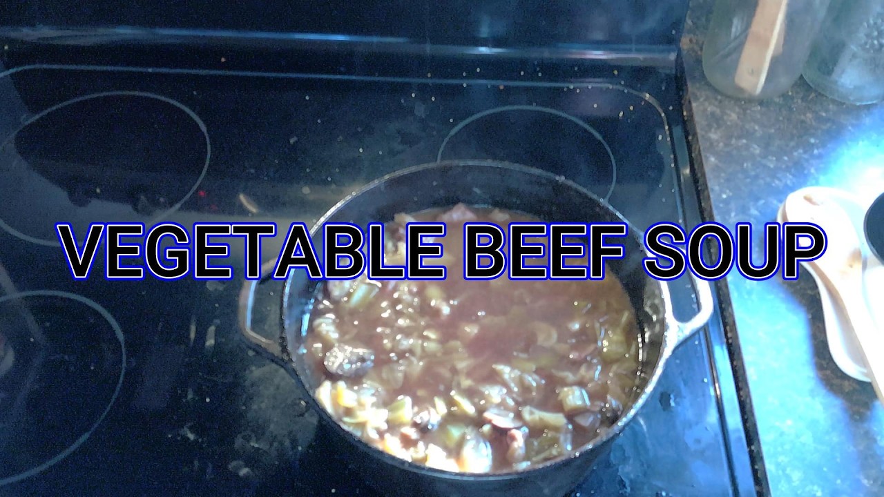 HOMEMADE VEGETABLE BEEF SOUP