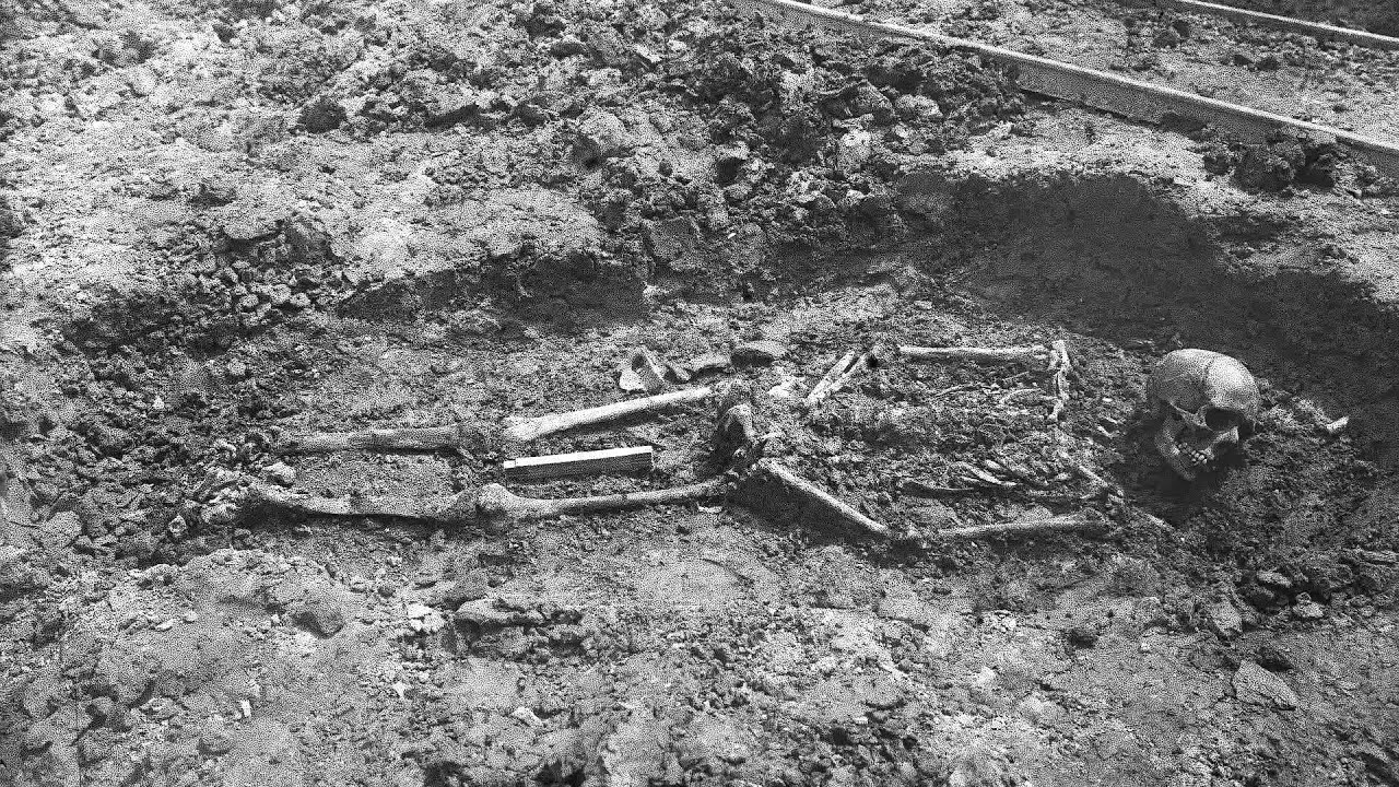 Goed bewaarde geheimen van Ezinge. Historische wierdenopgraving op onderzoekstafel (NWO Odyssee 7)