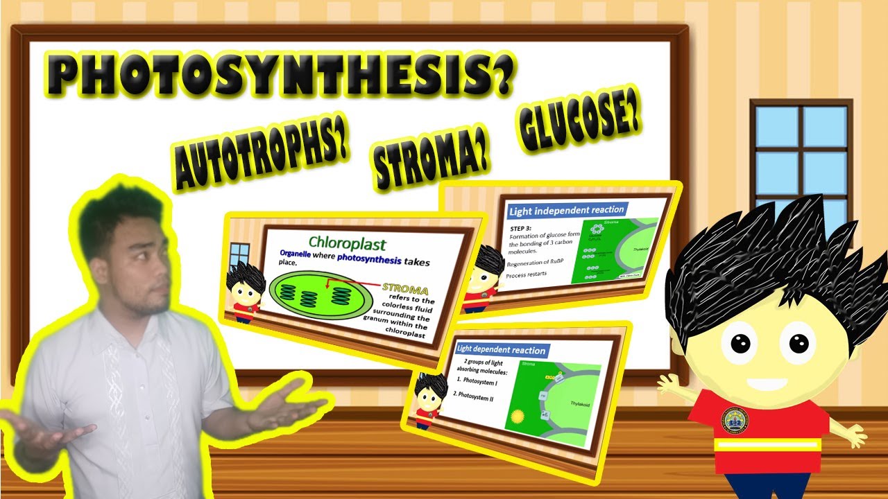 Science 9: Photosynthesis/ Food Production in Plants // (Tagalog-English Format)