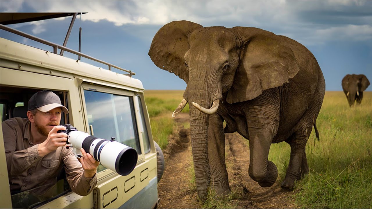 SAFARI OF A LIFETIME - Serengeti National Park
