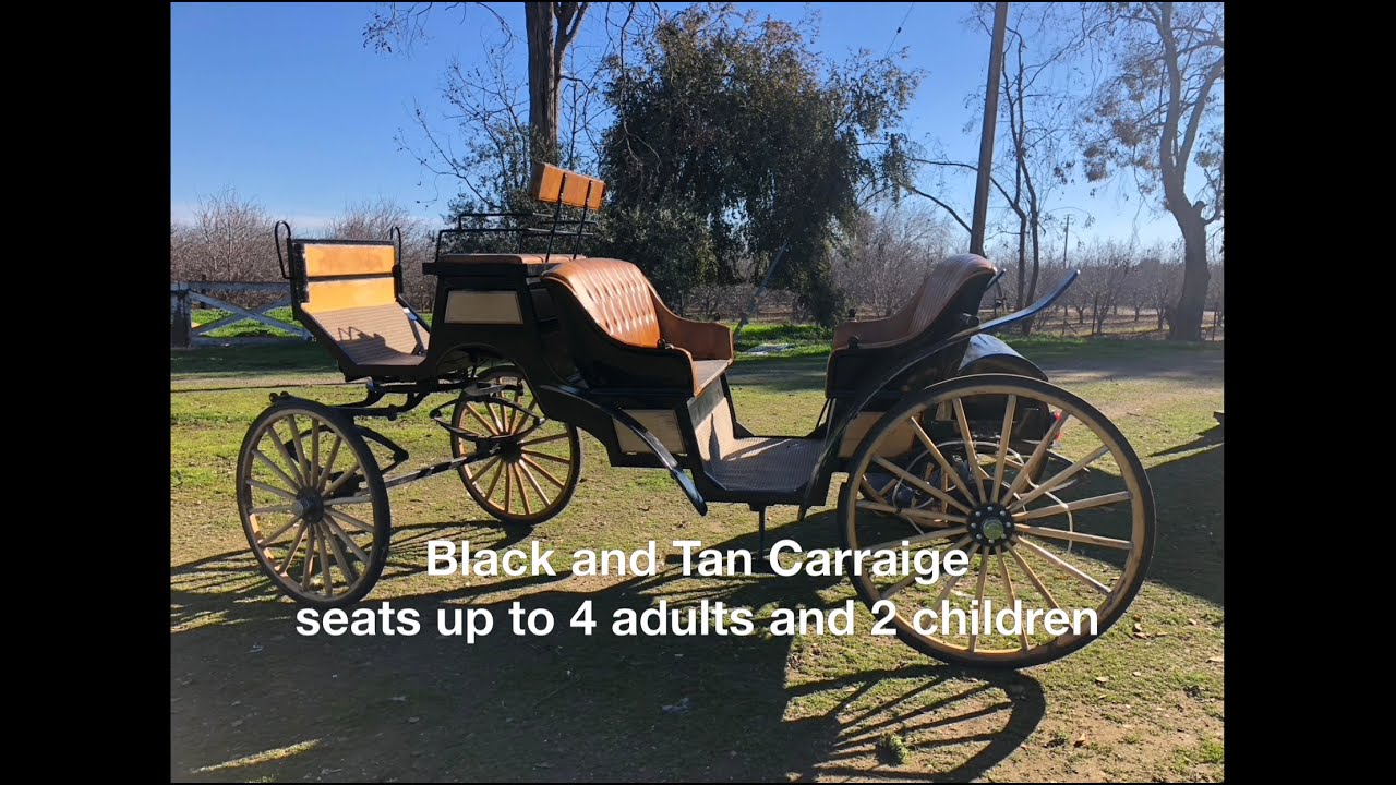 Black & Tan Robert Vis-a-Vis Carriage