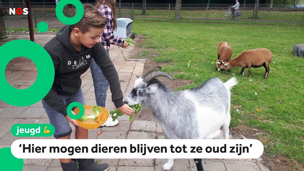Kinderboerderij van Raoul (13) krijgt speciaal keurmerk
