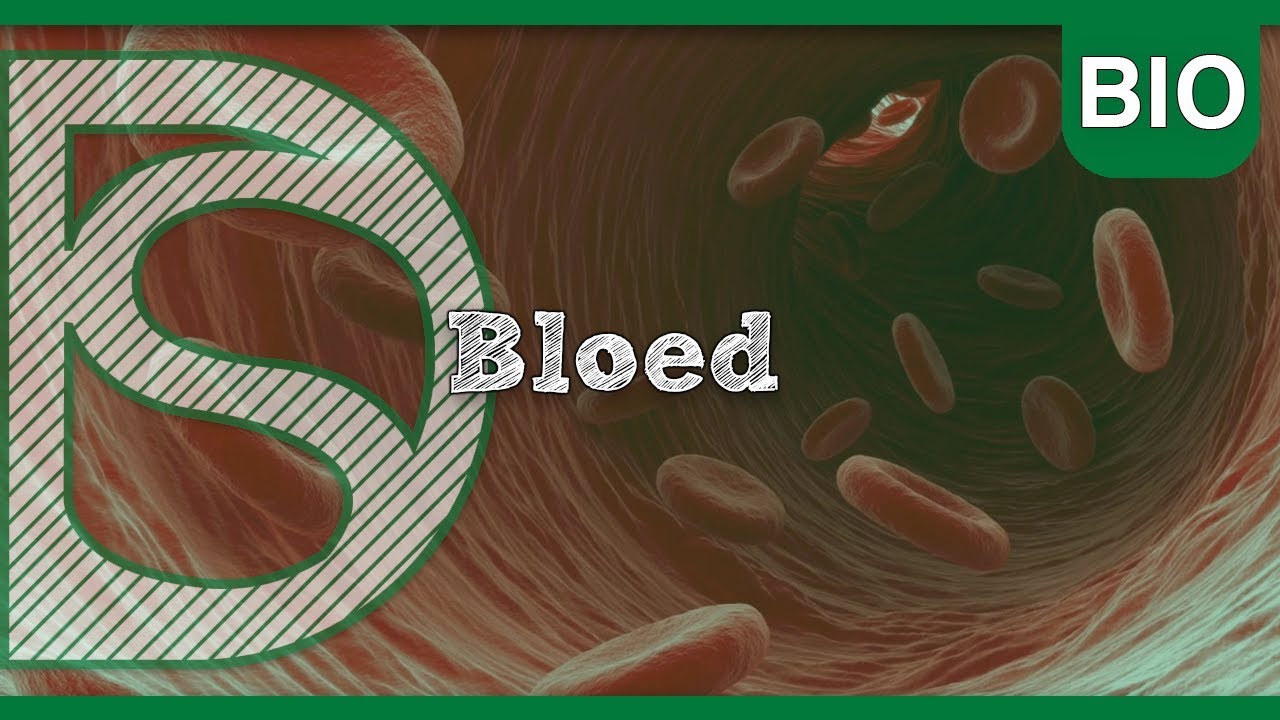 Biologie - Bloed (Bloedsomloop)
