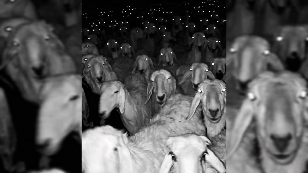 A C C E S S O [REMIXING] [111]