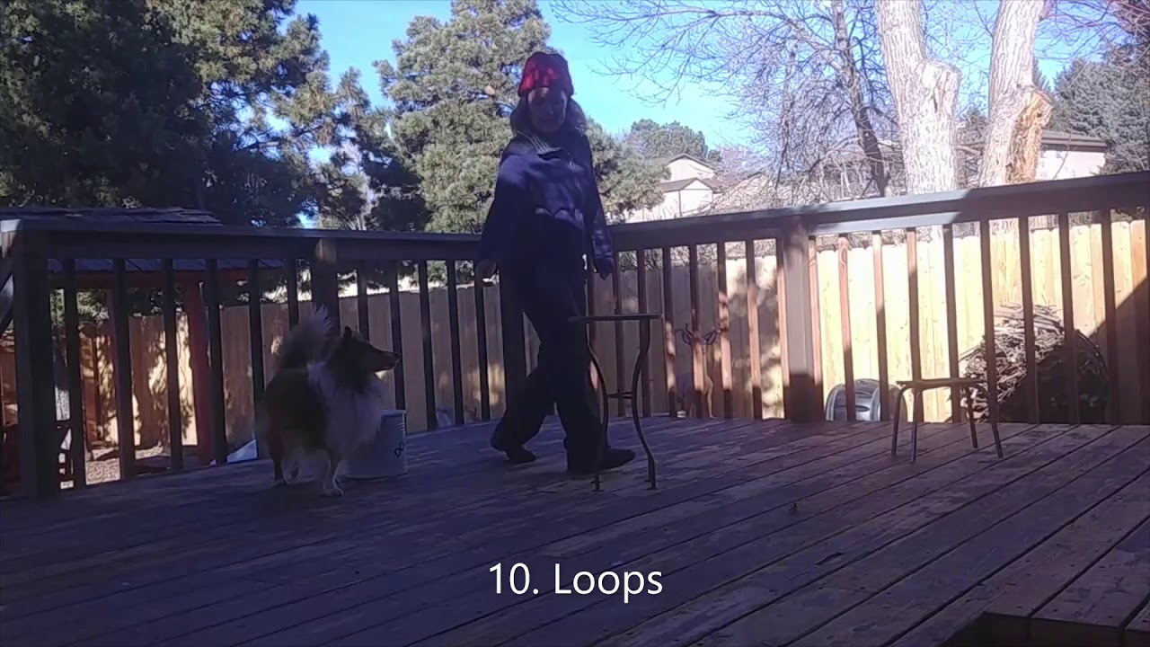 ADP Deck Level 4