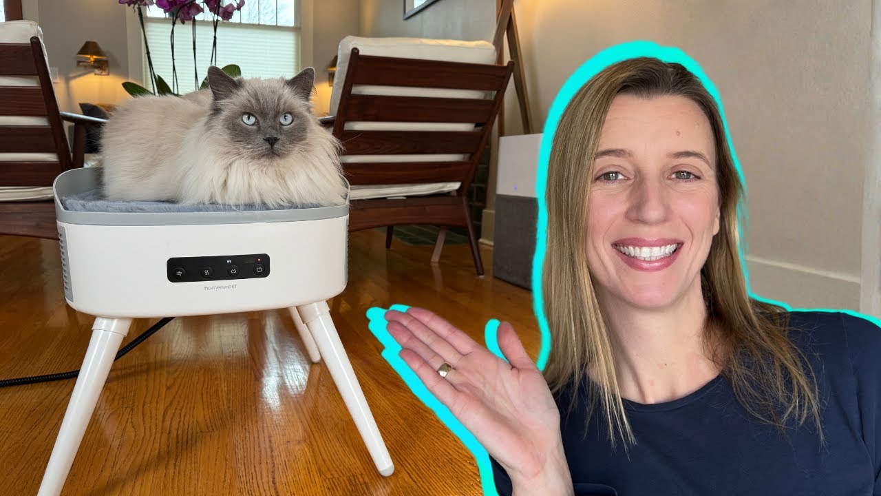 This Viral Space Heater Doubles As A Cozy Cat Bed