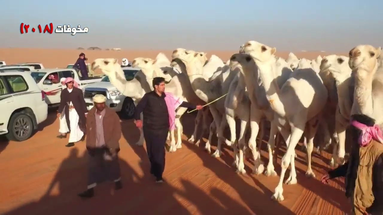 منقية /محمد بن كليفيخ المخاريم