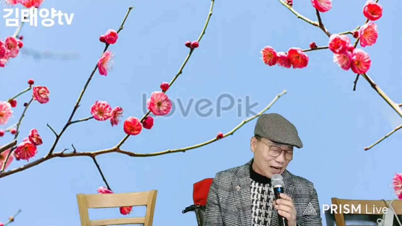 김태양tv 라이브 방송 시험방송