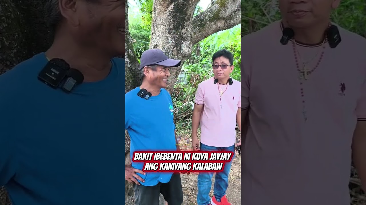 BAKIT IBEBENTA NI KUYA JAYJAY ANG ALAGA NITO KALABAW PARA KAY ATE FELY O KUYA OLIVER? 