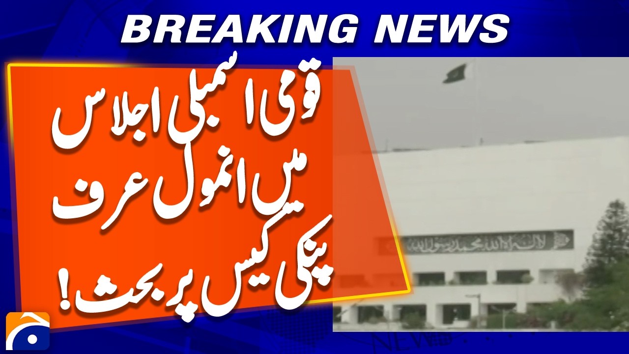 National Assembly Standing Committee on Home Affairs discusses Anmol Urf Pinki case | Geo News