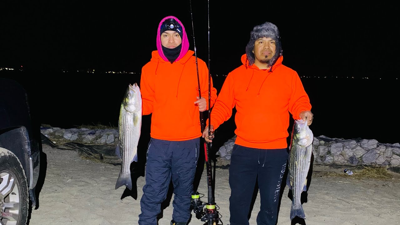 Caza y Pesca