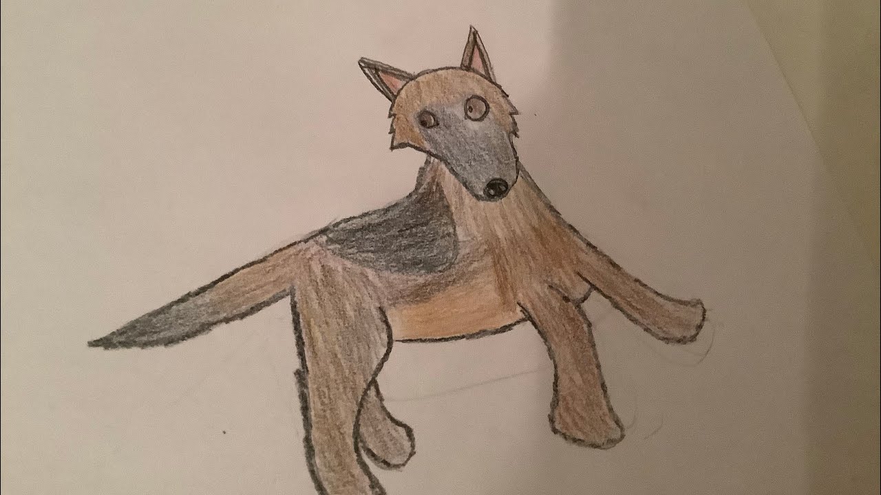 How to draw a German Shepherd 