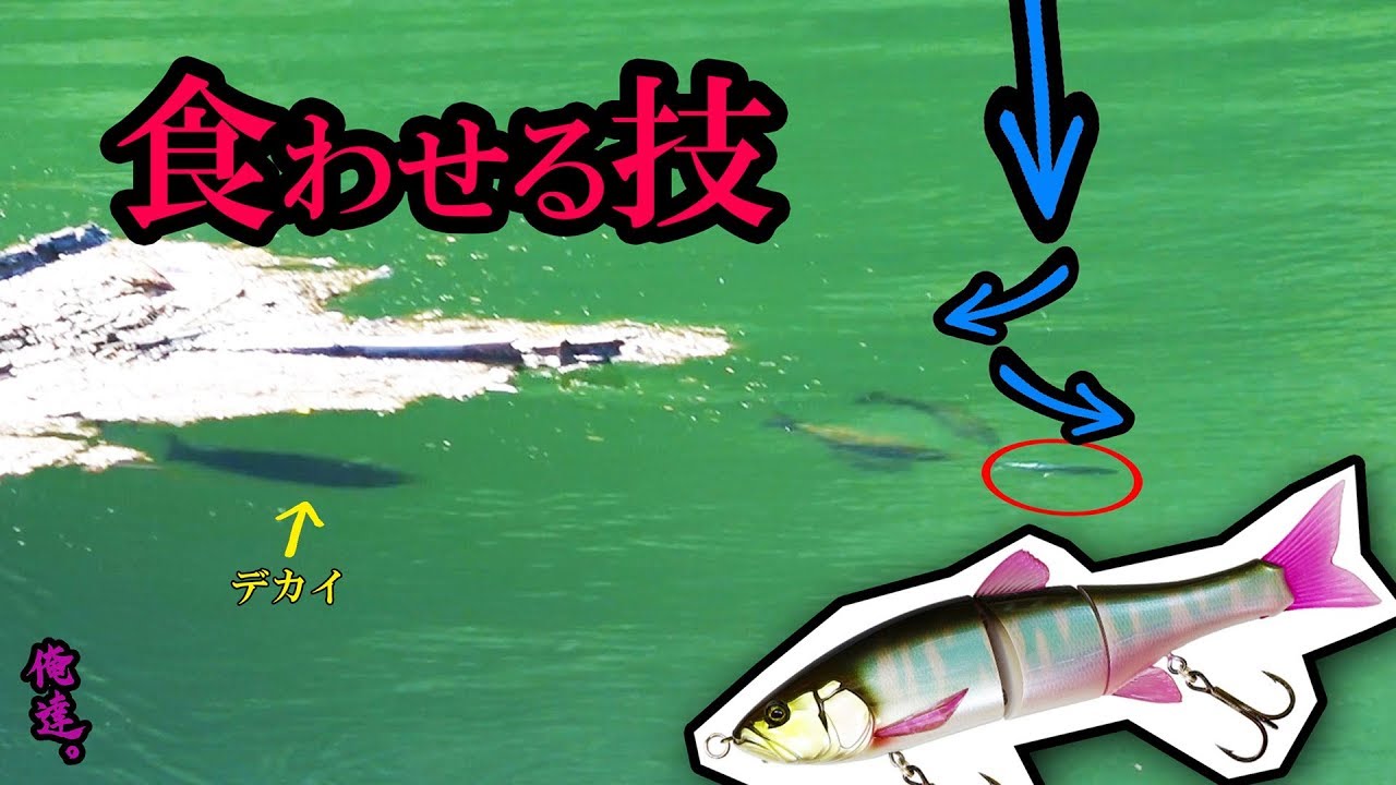 【巨大ルアー】ワザを使って巨大魚の捕食スイッチを入れる