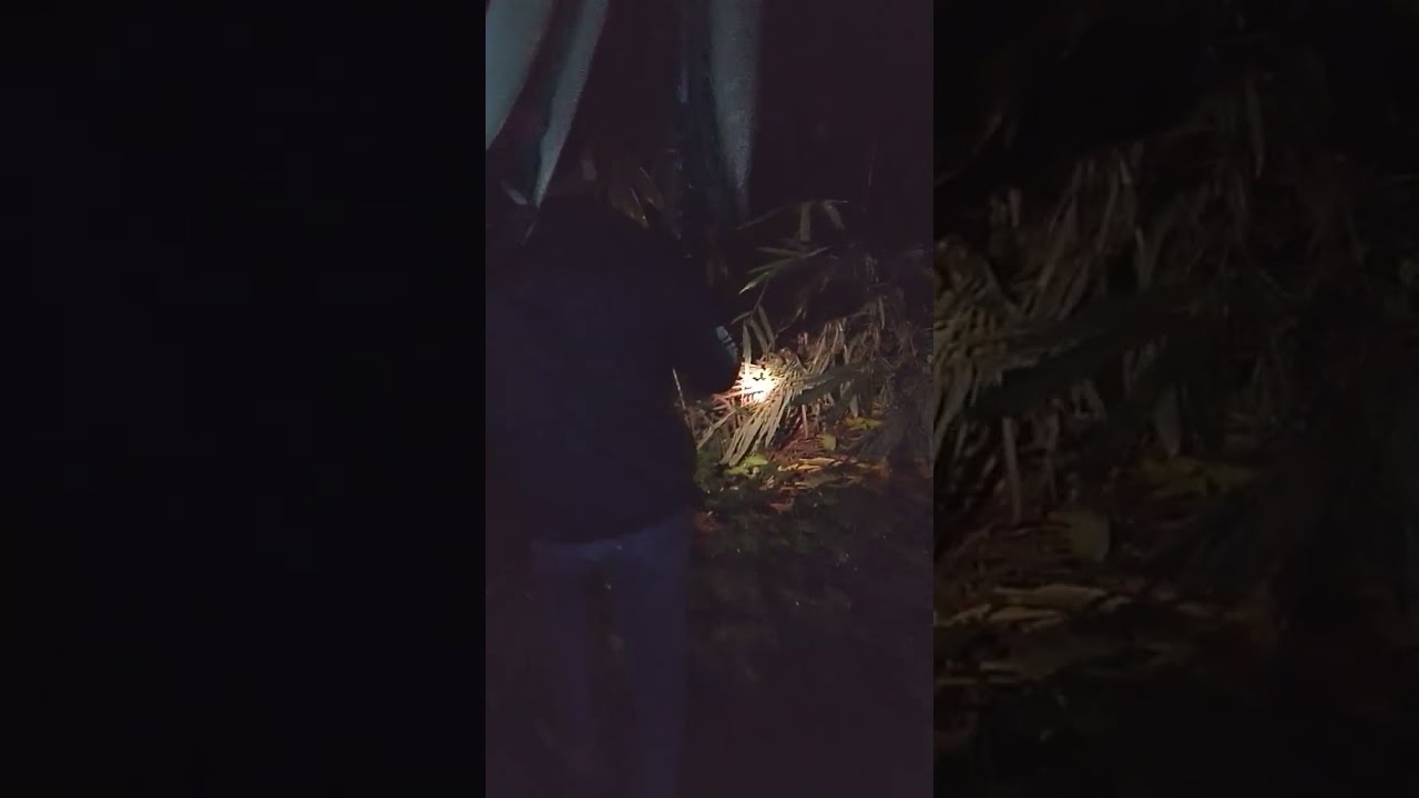 Part 2 hunting sambil menunggu sahur #fypシ゚viral #trending 