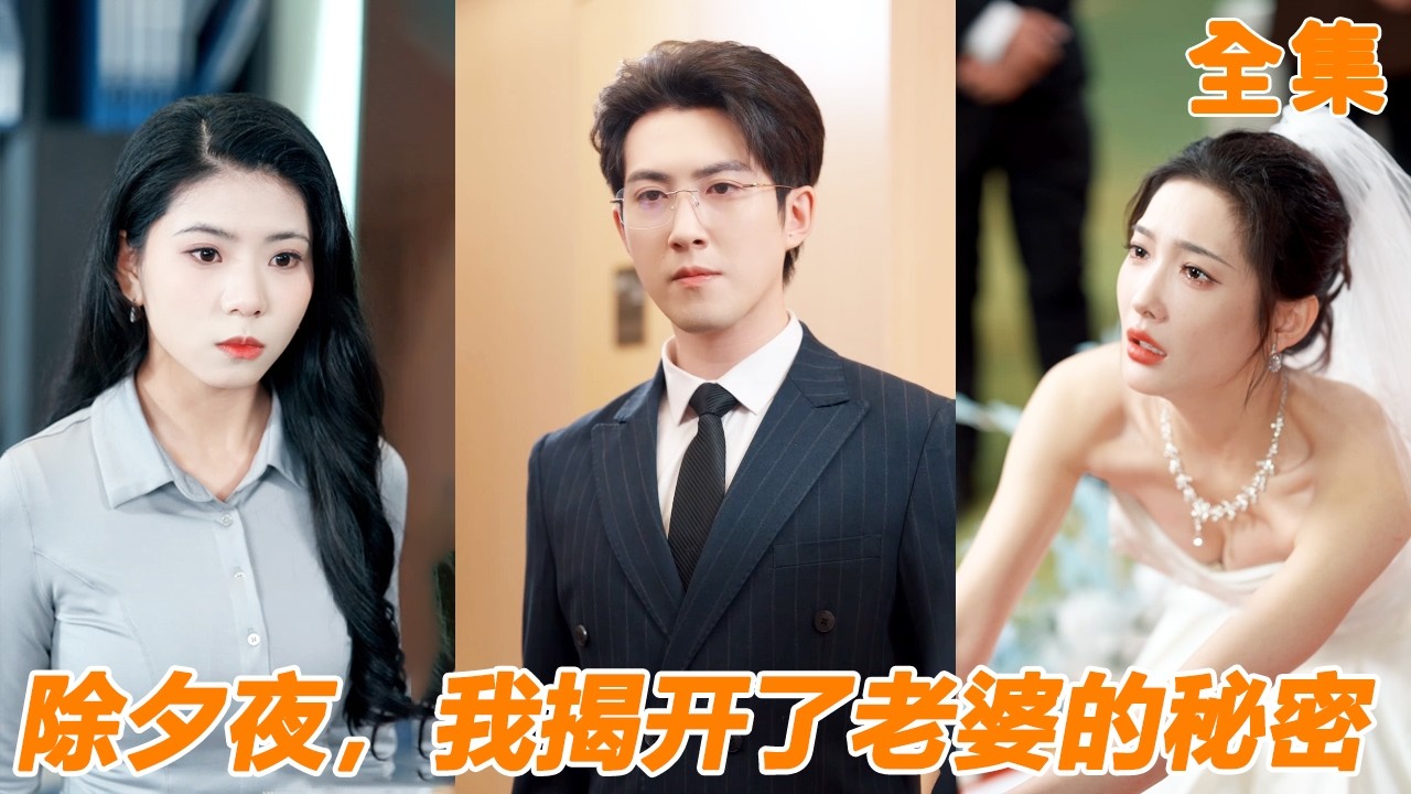 老婆過年拿著小夥的錢陪情人，小夥終於對她徹底死心，沒想到她卻反咬一口還想讓小夥淨身出戶，他直接把渣女送進監獄！【除夕夜，我揭开了老婆的秘密】#260223cj