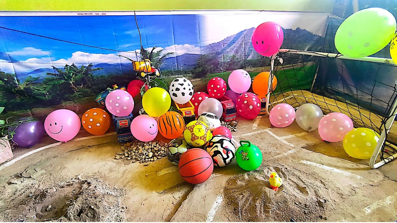 Menemukan Balon warna warni berhadiah mainan dan bola masuk gawang || balon meletus, anjing pudel 😱