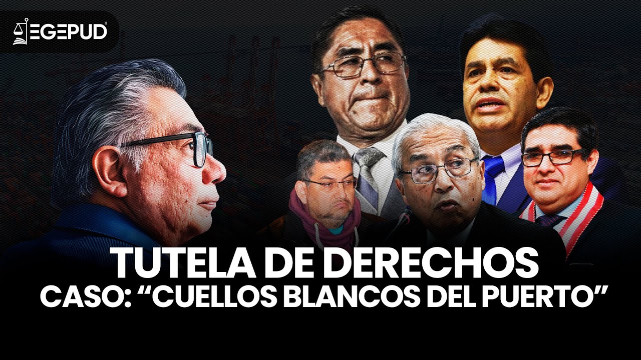 Apelación de tutela del derecho a la defensa en la investigación preliminar – Caso 