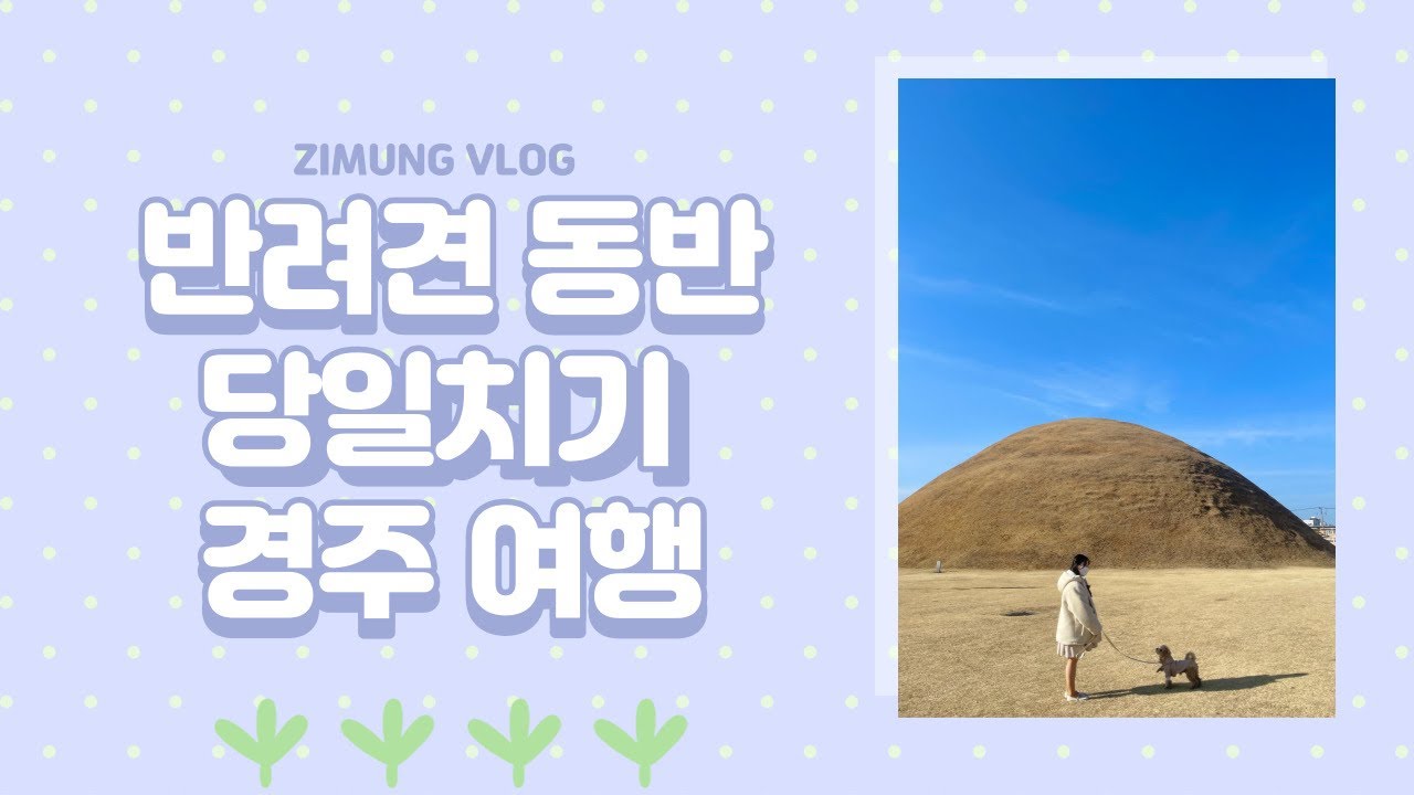 반려견 동반 여행 | 경주 당일치기 | 여행 코스 추천 | 반려견과 인생 샷 찍기🙆🏻‍♀️🐶❤️