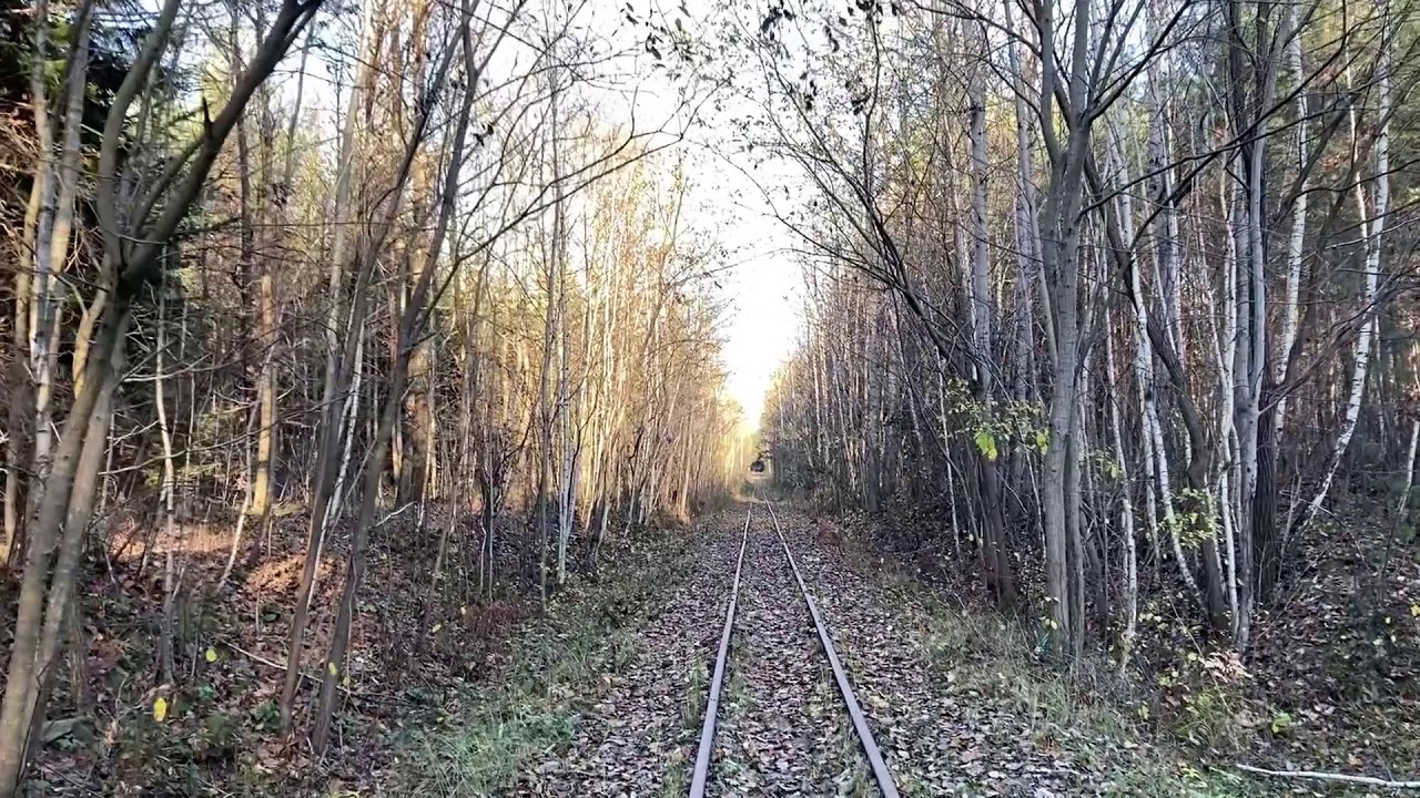SKW - Puszcza Iłżecka - patrol szlaku między Lipiem a 8 km.