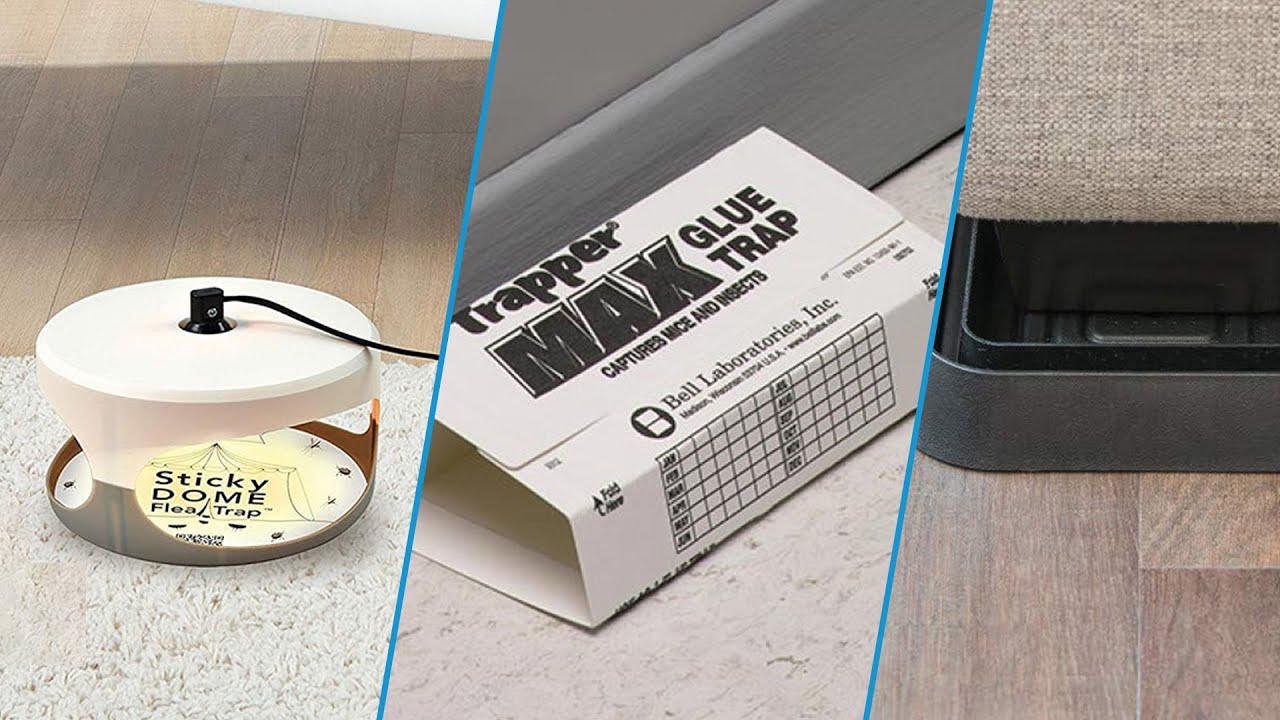 Top 10 Bed Bug Trap in 2025 (Best Selling)