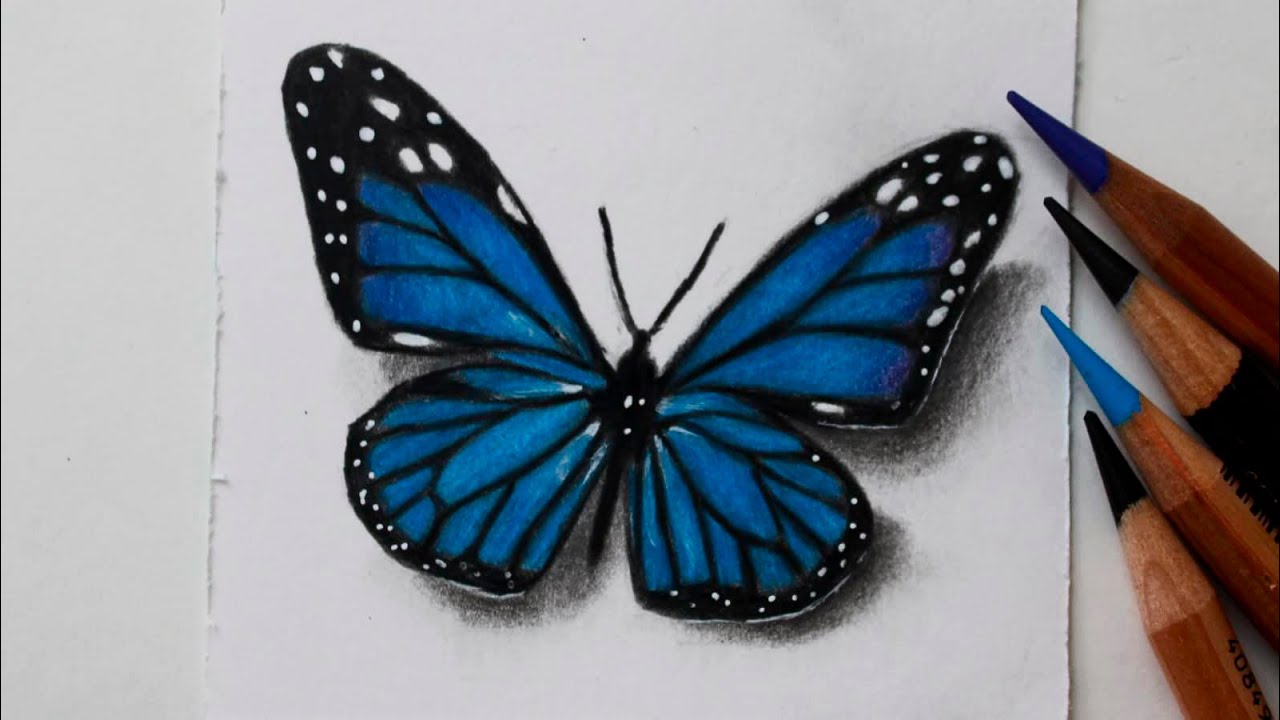 Como desenhar uma borboleta azul - passo a passo - narrado