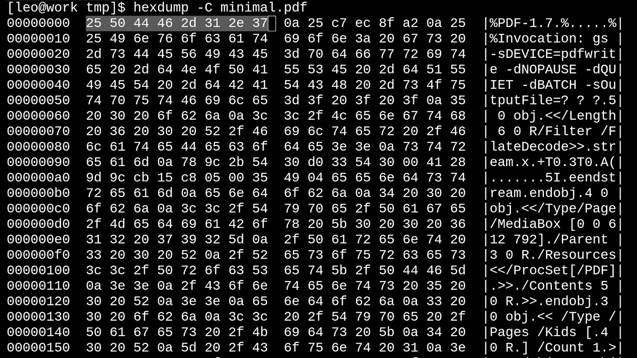 Che cos'è un file PDF?