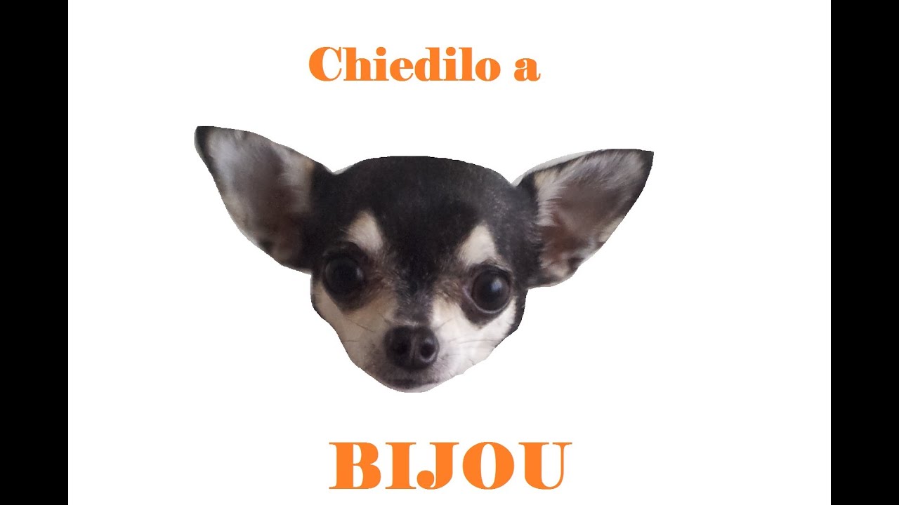 CHIEDILO A BIJOU - Passer&ograve; questo esame?